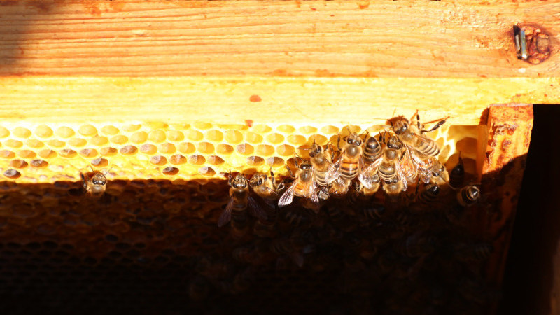 AKADEMİ HATAY KURSLARI MESLEK KAZANDIRMAYA DEVAM EDİYOR