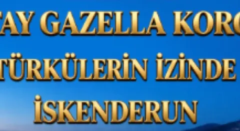 Haber Resmi