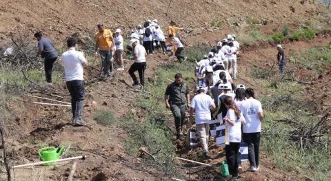 Haber Resmi