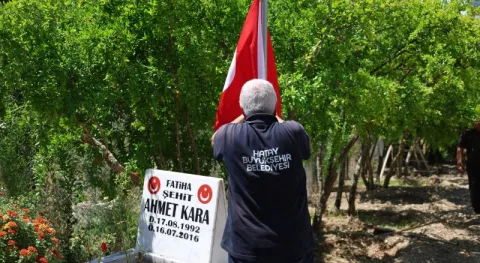 Haber Resmi