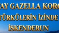 Haber Resmi